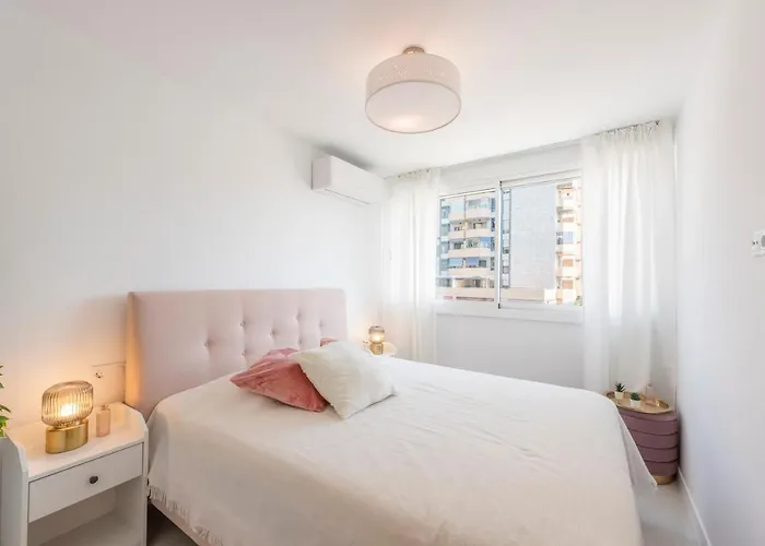 Front Line In Apartament *